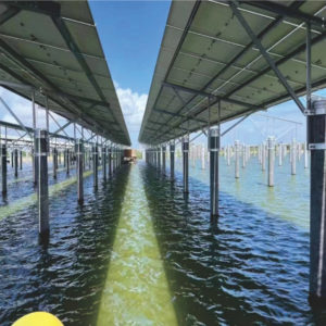 complementary photovoltaics
